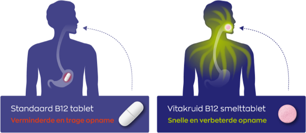 Vitakruid B12 Combi